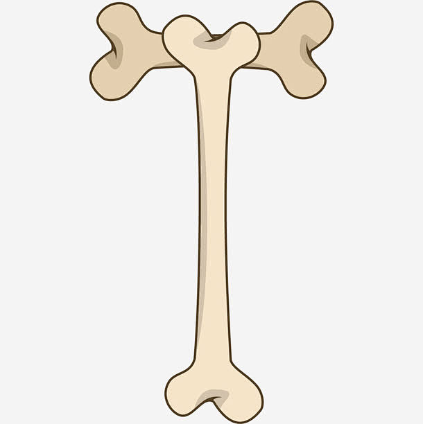 手绘卡通骨头创意字体英文字母T高清素材 ...