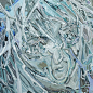 Minhee Kim ,2022,oil on canvas, 72x72cm.jpeg