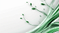 06-645_Branches_green_and_silverpure_white_background_simple_fo_cf3d7457-e89b-4336-b27b-2434a7c88ff2.png (1456×816)