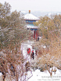 故宫 北京雪景   姗姗来迟的冬雪变成春雪   瑞雪兆丰年, 午夜飞行的狼旅游攻略