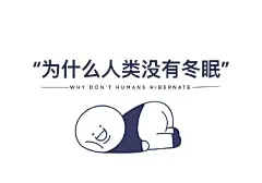 @爱收壁纸的泡芙小姐 的个人主页 - 微博