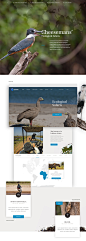 Cheesemans' Ecology Safaris : Cheesemans' Ecology Safaris' is a worldwide leader in wildlife photography expeditions. Elegant Seagulls was approached by Cheesemans’ to redesign and rebuild their content rich web presence while making it easy for their cli