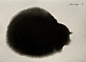 猫的姿态。塞尔维亚艺术家Endre Penovác用水彩绘制出的黑猫，似乎带着某种神秘的感觉。