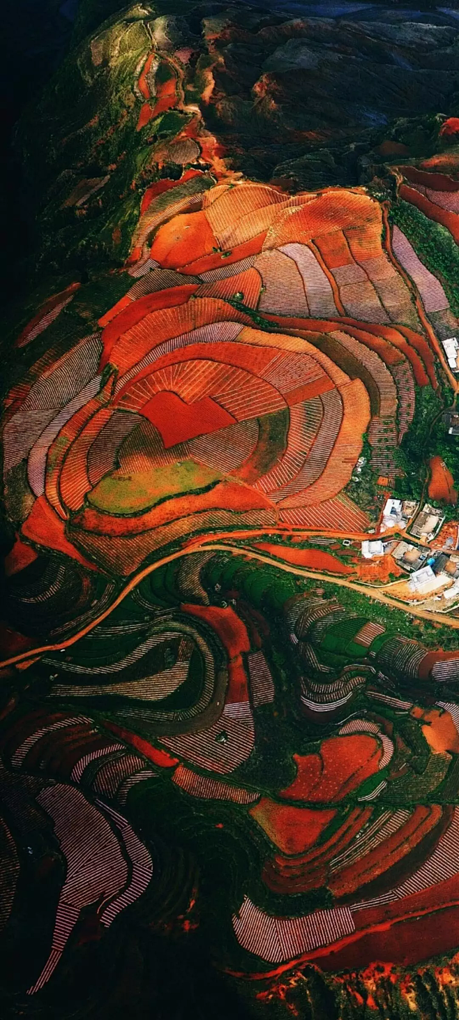 东川红土地