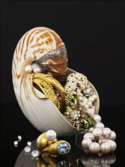 鹦鹉螺,饰品