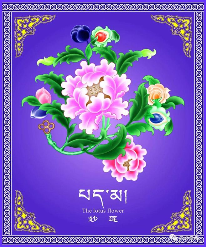 藏文化 | 吉祥八宝  见者增祥瑞_象征...