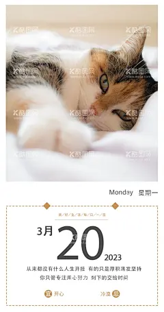 每日一签  - 源文件下载【酷图网】每日一签,日签,微信,每日微推,海报,早安,励志,小猫海报,