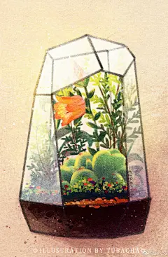 总结了下这段时间微博里只发了视频，没放完成图的作品。
有小场景，有完整场景，有的是课堂示范，有的是平时练习。
兔画社儿童插画小场景团练课程还有最后几个名额。感谢大家的信任
想咨询的小伙伴，加班主任老师vx。vx：OWuYuanO 或vx：lilangood
兔画社超话 兔八叉超话  ​​​​...展开全文c