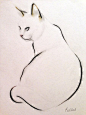 #美图摄影##素材推荐# 喵星人的姿态，寥寥几笔，入骨传神。| 来自画师Kellas Campbell
