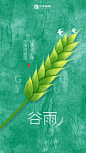 节气谷雨麦穗绿色简约海报