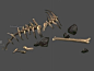 兽骨，动物骨头，枯骨头，动物尸骨，蜗牛网，蜗牛模型网