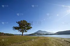 孤独的松树和索爱旺湖