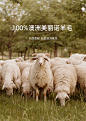 【woolab系列】orange desire无缝一体绵羊毛针织衫女2024年新款-tmall.com天猫