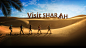 Adobe Portfolio digital presentation design animation  interactive UAE sharjah Photography  landscapes tourism
