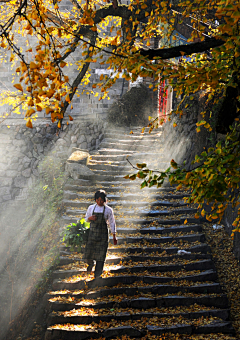 筠千采集到风景美如画