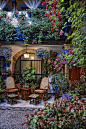 Festival of Patios, Cordoba, Andalucia, Spain。西班牙科尔多瓦，