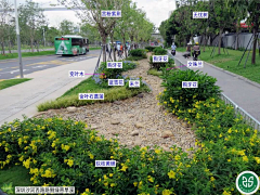 H-种植设计采集到海绵城市