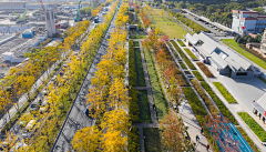 小麦色松子采集到道路景观