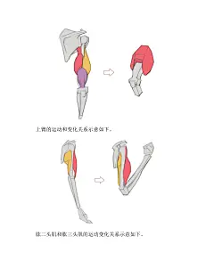 (PDF版本)动漫人体结构表现技法专项训练_214