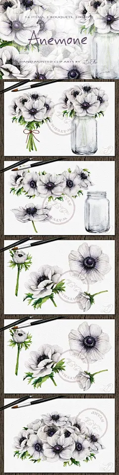 手绘水彩文艺白色花朵叶子PNG素材