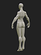 Stylized Female Blockout v1