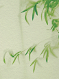 竹影成画 - 小红书