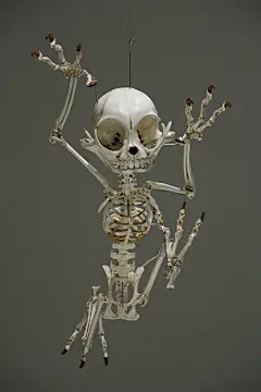 卖萌的卡通骷髅人