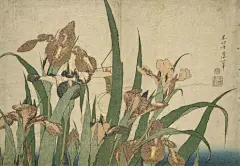 浮世绘大师葛饰北斋笔下的花卉