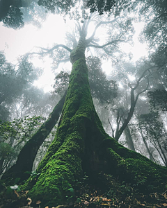 睡不着的羊采集到风景