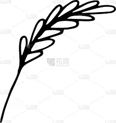 单小穗具谷粒。手绘矢量插图贺卡，婚礼，季节设计，印刷品，贴纸或天然化妆品包装。简单的花涂鸦图标孤立在