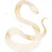 蛇年线条蛇纹理元素贴纸