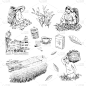 茶树,茶叶,插画,斯里兰卡,草图,收集,做,布置,剪影