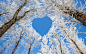 General 2560x1600 nature forest snow heart cyan trees clear sky winter sunlight