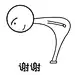 YYX染色体