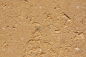 埃及砂岩的纹理