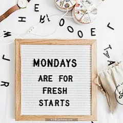 MONDAYS ARE FOR FRESH STARTS | 句子喵，分享触动人心的美妙句子，带有句子的图片壁纸，带有句子的桌面壁纸，带有句子的手机壁纸。 : MONDAYS ARE FOR FRESH STARTS