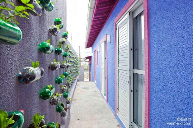 塑料瓶植物景观墙 创意外墙装饰设计