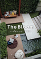 The  Bloom (#gingsite497) : สวนมินิมอล กลางลานบ้าน ที่เป็นจุดรวมของทุกคนในบ้าน