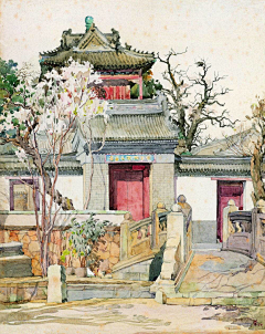 喔喔喔小朋友采集到水彩插画