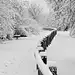 生命就是这样，错过了白雪皑皑，便错过了冬季，错过了芳草萋萋，便错了春日，错过了一抹眼神，便错过了一颗灵魂，错过了一个决定，便错过了整个生命！ ​​​​