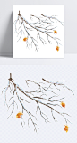 树枝 树枝,树叶,雪,冬季,冬天,装饰元素,设计元素_2399244290