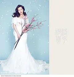 黄奇敏作品《今日立春，献上一篇《踏雪寻梅》》