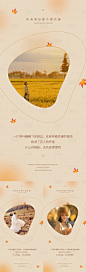 秋天暖色调早安系列海报-源文件