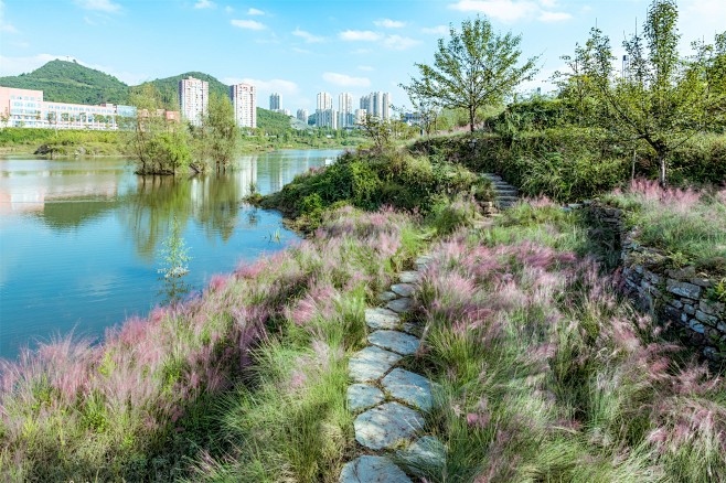 %E5%BE%AE%E4%BF%A1%E5%9B%BE%E7%89%87_202010131846101