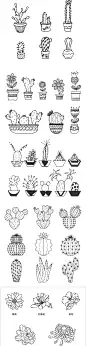 266 植物花卉花朵多肉黑白线描稿线稿黑白简笔画手绘临摹素材图-淘宝网