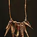 West Africa | Iron, goat and gazelle horn talismans on a fiber and leather necklace