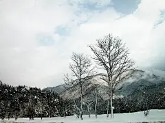 冬雪11861_冬雪系列_风景风光类_图库壁纸_联盟素材