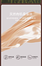 红豆巧克力裤60支女内裤莫代尔纯棉抗菌裆含桑蚕丝薄款无痕三角裤-tmall.com天猫