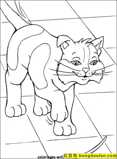 按照这个简单的如何一步一步地画猫的教程，你将很快完成你的猫画。只需几个简单的步骤，您将学习如何画一只可爱的卡通猫，它可以被孩子和大人快速绘制。猫太棒了！这是事实。其他动物也一样，但猫。纯粹的敬畏。这个猫绘图教程是我们不断增长的所有年龄段的逐步绘图教程集合的新增内容。我们喜欢让事情变得简单，所以我们尽可能地简化了这个，同时仍然保持可爱。我们已经让猫大部分没有纹理，因为有许多不同的种类，这样您可以在着色时挑选自己的毛皮。你可以做一只虎斑猫、玳瑁猫、黑白猫、黑色猫，甚至是粉色和绿色条纹的猫——我们不是来制定规则