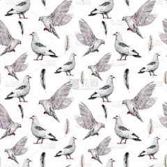 水彩画图案与白鸽无缝搭配. 手绘鸽子鸟隔离在白色背景。 复活节插图用于设计、印刷、面料或背景. 春鸟